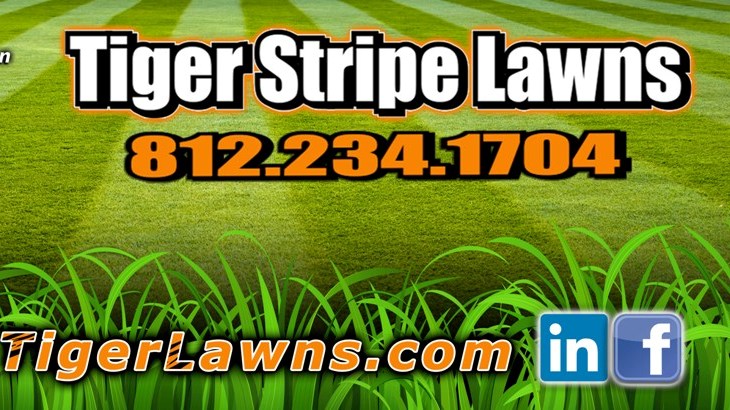 Logo for Tiger Stripe Lawns LLC