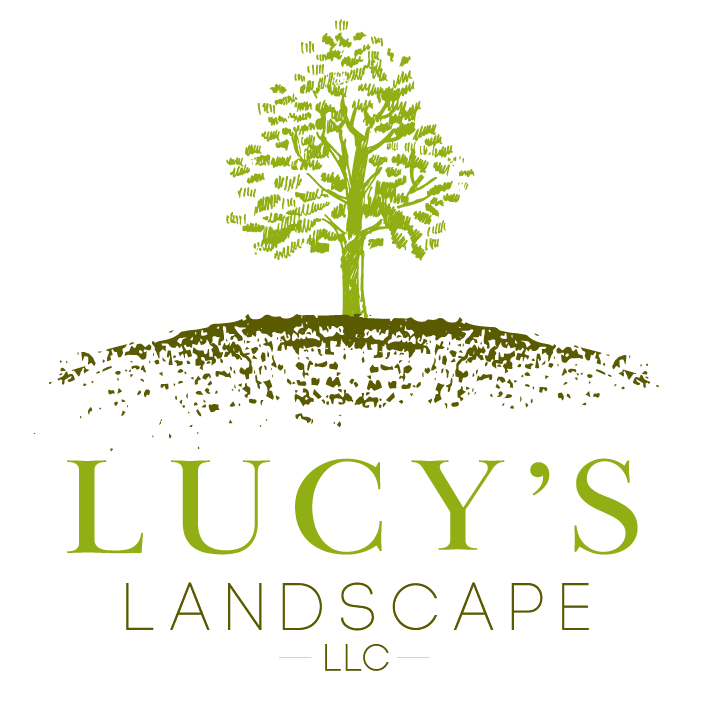 Anointed Hands Landscape logo