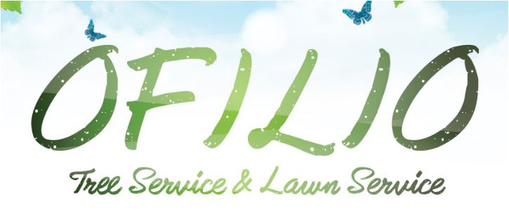 Ofilio Tree & Lawn Service logo