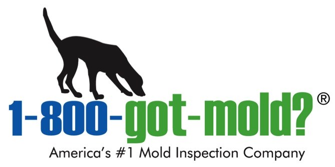 1-800-Got-Mold? logo