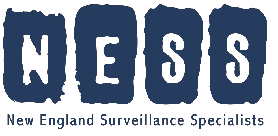 New England Surveillance Specialists Inc. logo