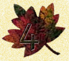 Avatar for 4 Seasons Rentals & Event Planning