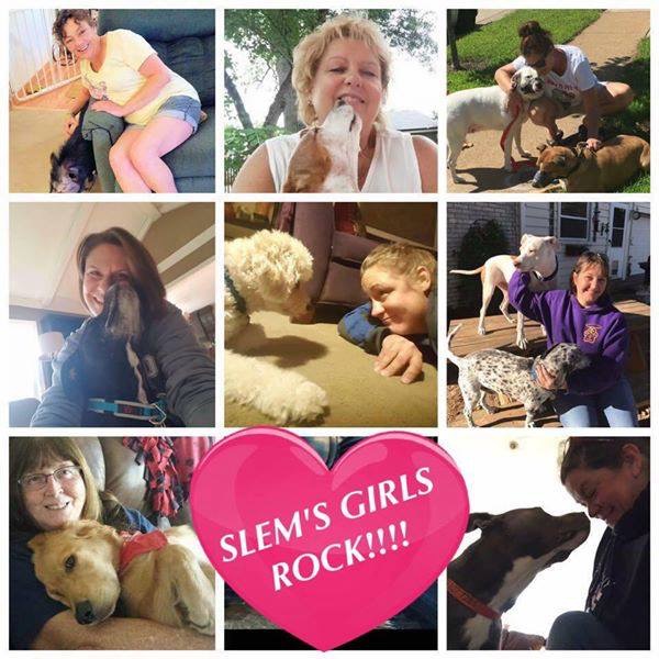 Logo for Slem's Pet Care