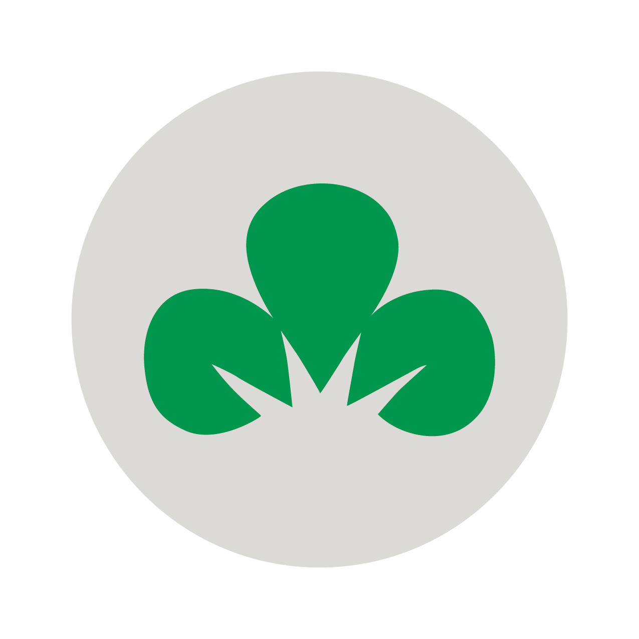 Shamrock Financial Corporation logo