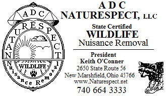 A. D. C. Naturespect LLC, Wildflife Removal logo