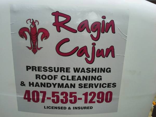 Logo for Ragin Cajun Pressure Washing