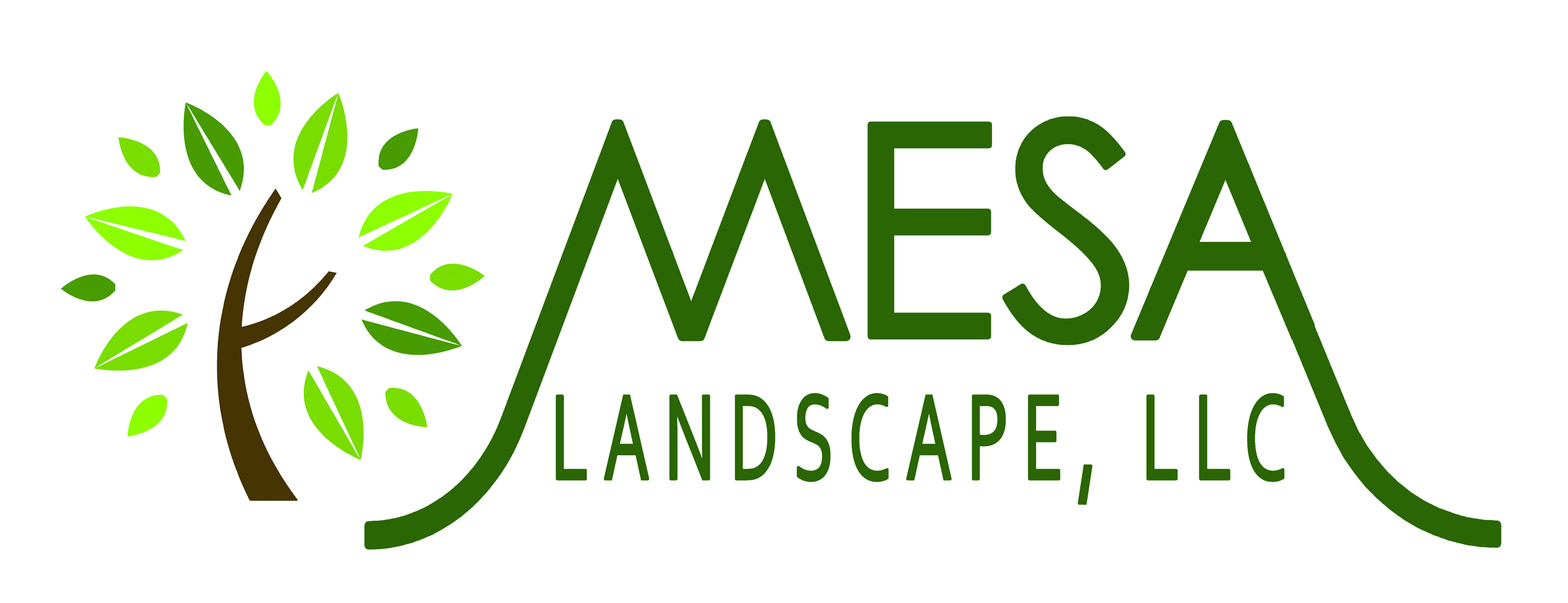 Mesa Landscape LLC logo