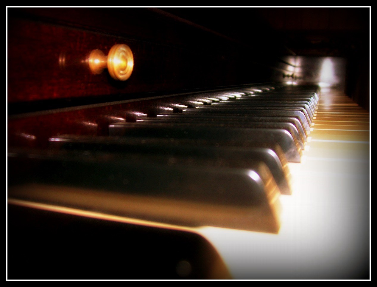 Northampton Gallery Pianos logo