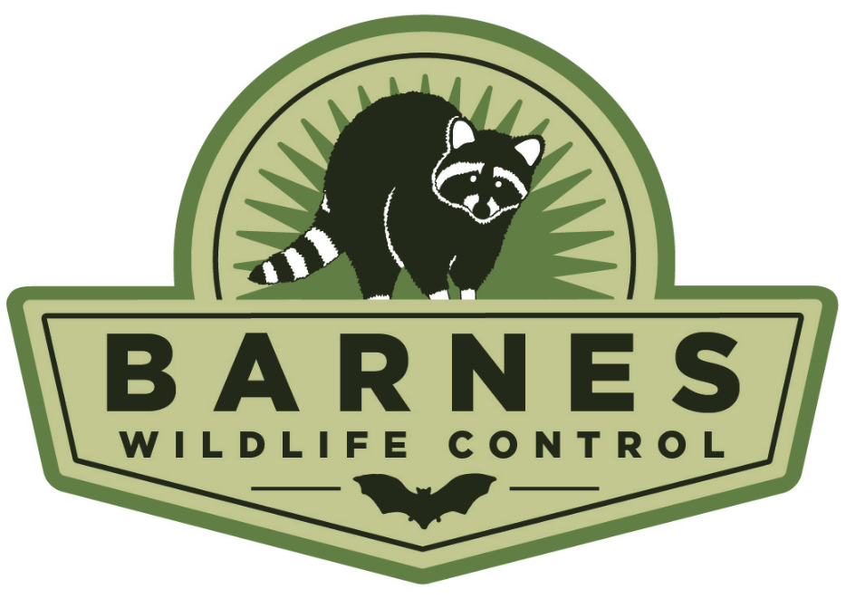 Logo for Barnes Wildlife Control
