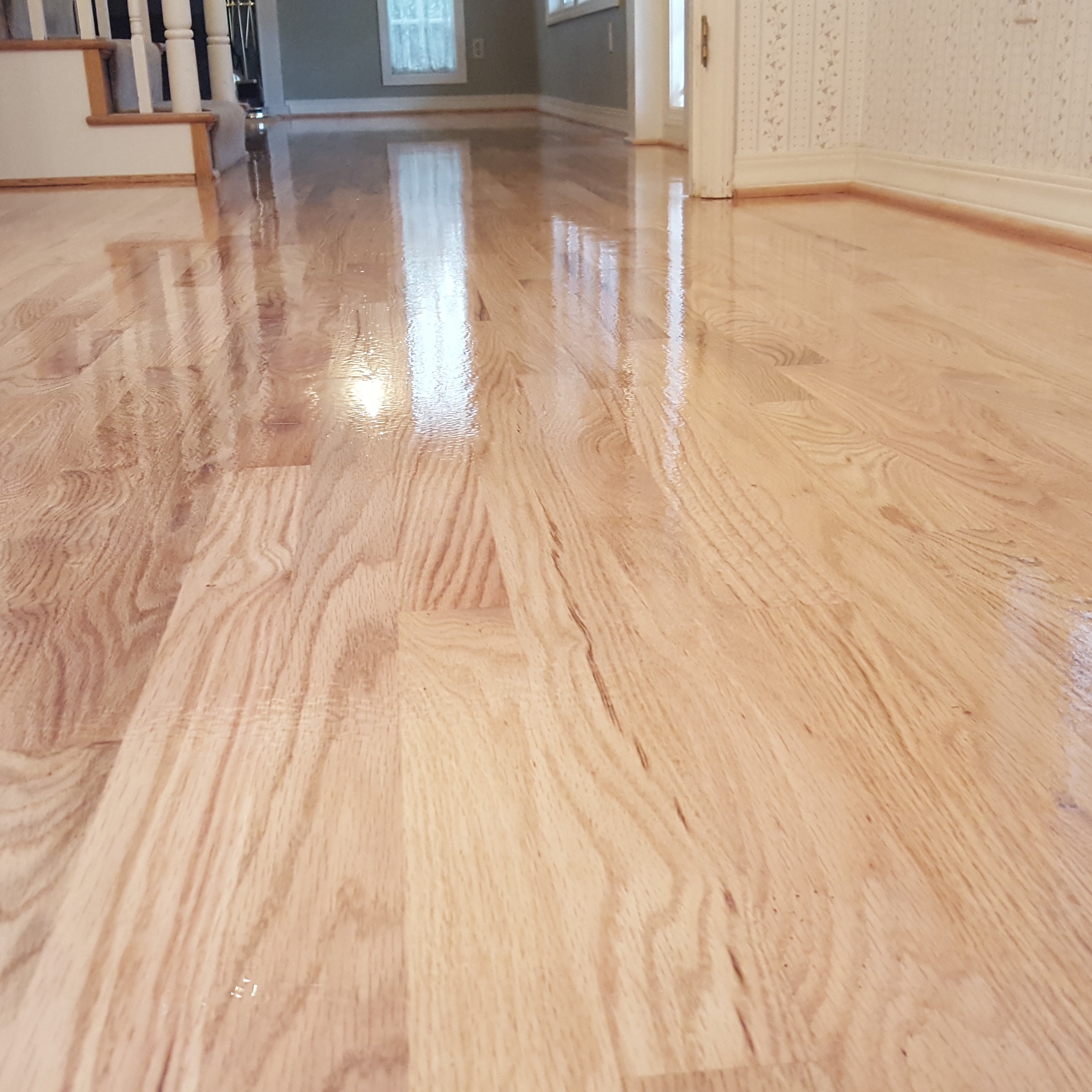 All Green Hardwood Floors LLC logo
