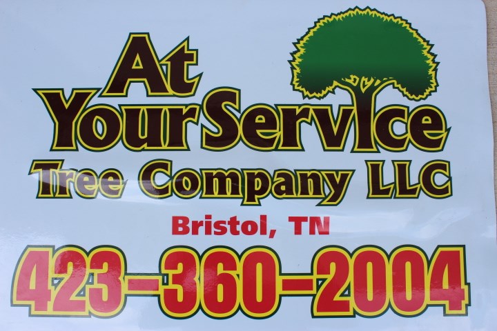 At You Service Tree Co. LLC logo