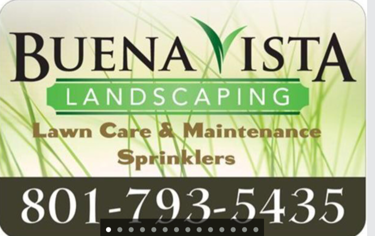 Logo for Buena Vista Landscaping