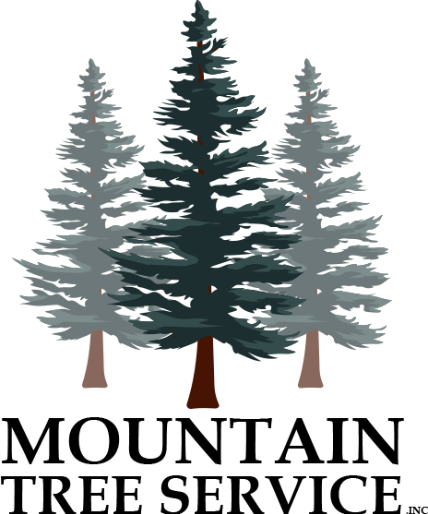 Avatar for Mountain Tree Service Inc.