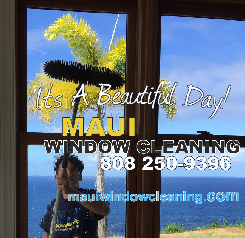 Rich Hevner Window Cleaning logo
