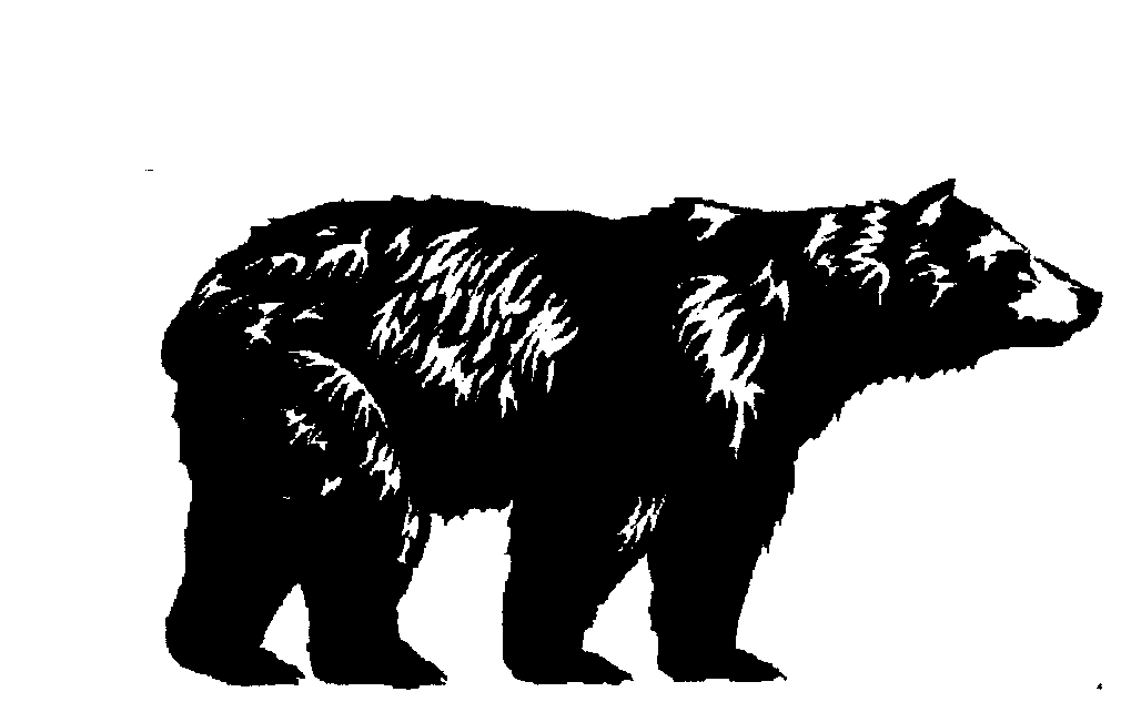 Logo for Black Bear Builders