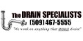Drain Specialists logo