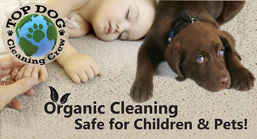 Logo for Top Dog Cleaning Crew