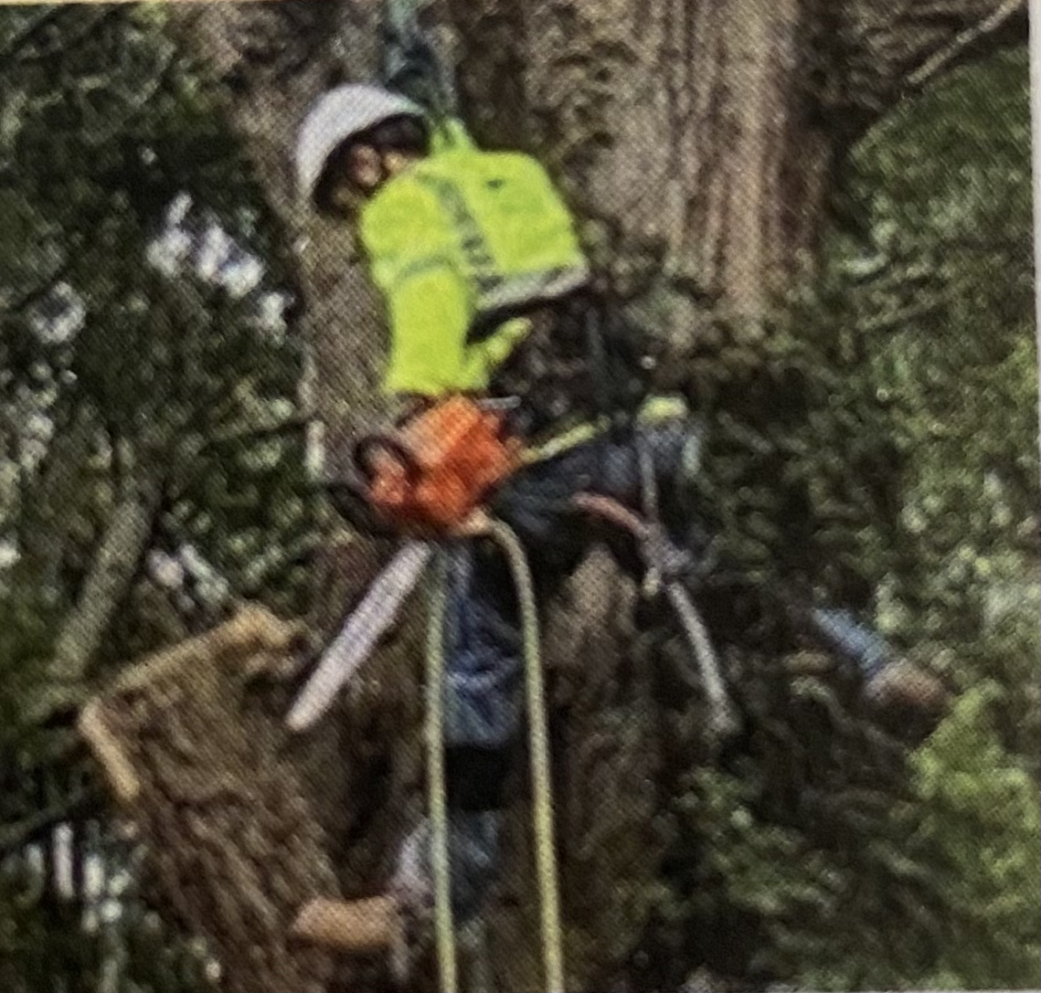 Logo for Erwin's Tree Service & Stump Grinding, LLC