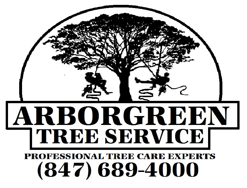 ArborGreen Tree Service logo