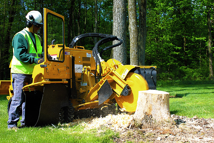 Logo for the Tree & Stump Pros