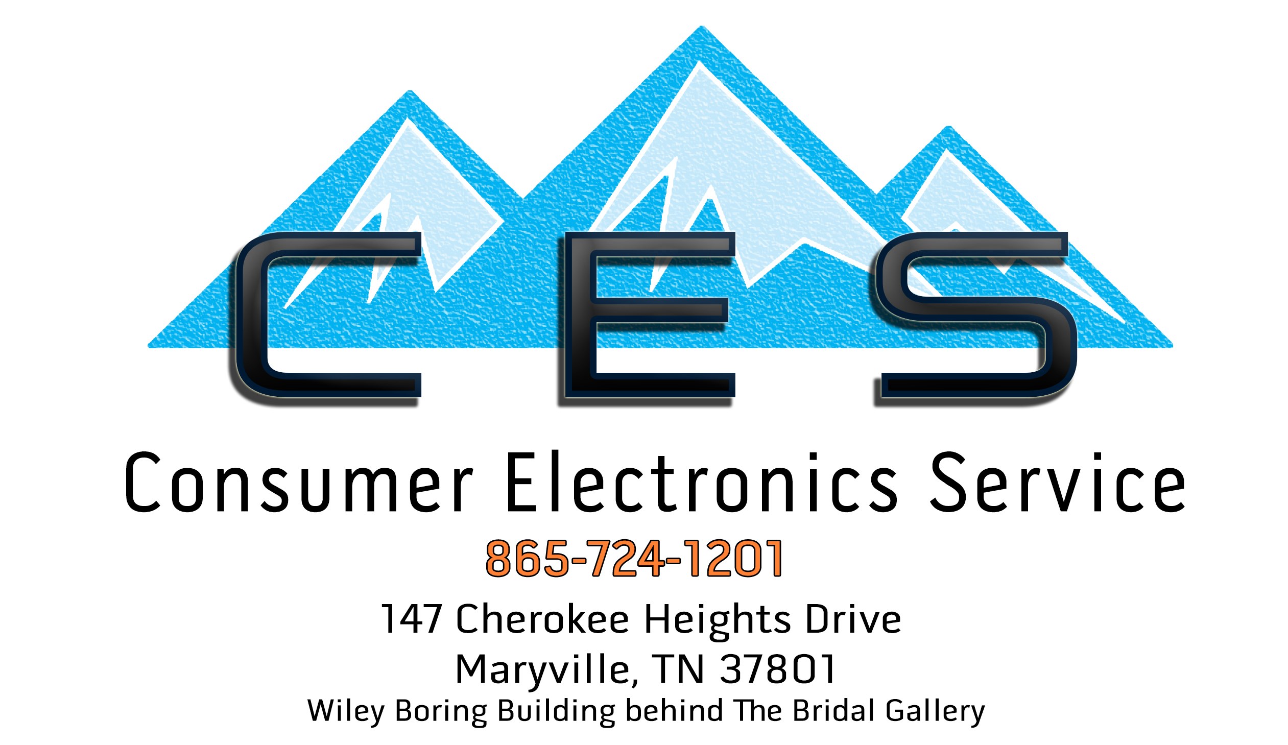 Logo for Consumer Electronics Service