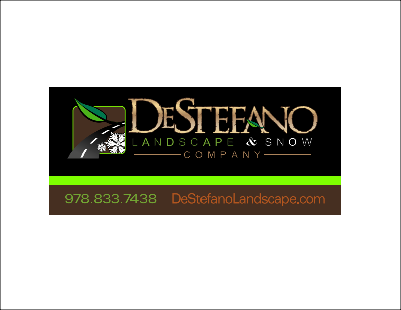 Destefano Landscape and Snow logo