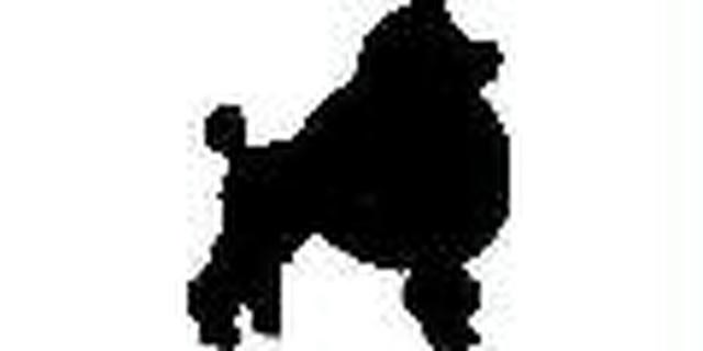 Puppy Love Grooming logo