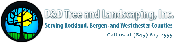 Avatar for D & D Tree & Landscaping Inc