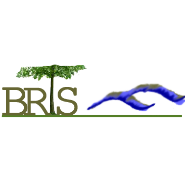 Blue Ridge Tree Service LLC logo