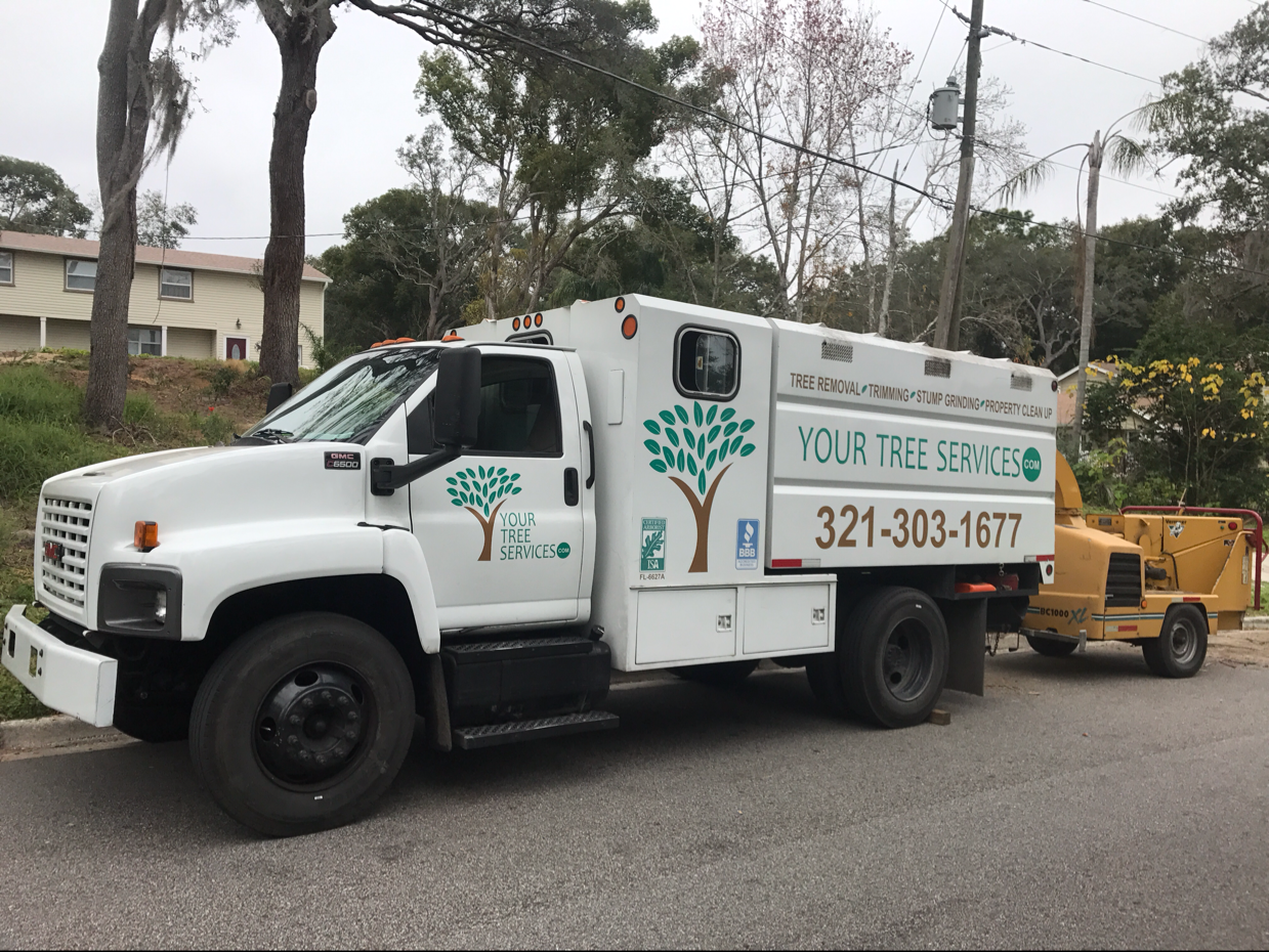 Logo for Your Tree Service
