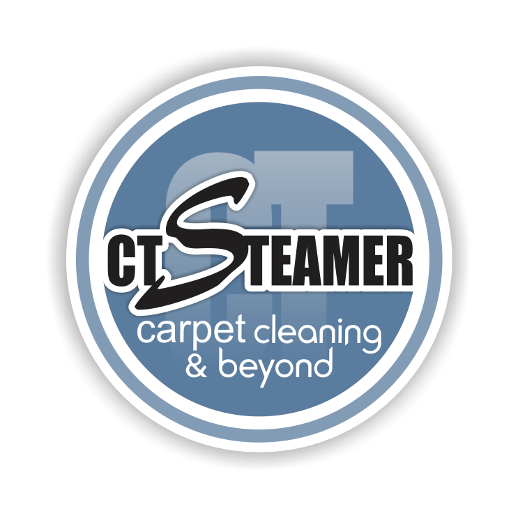 Logo for ctSteamer