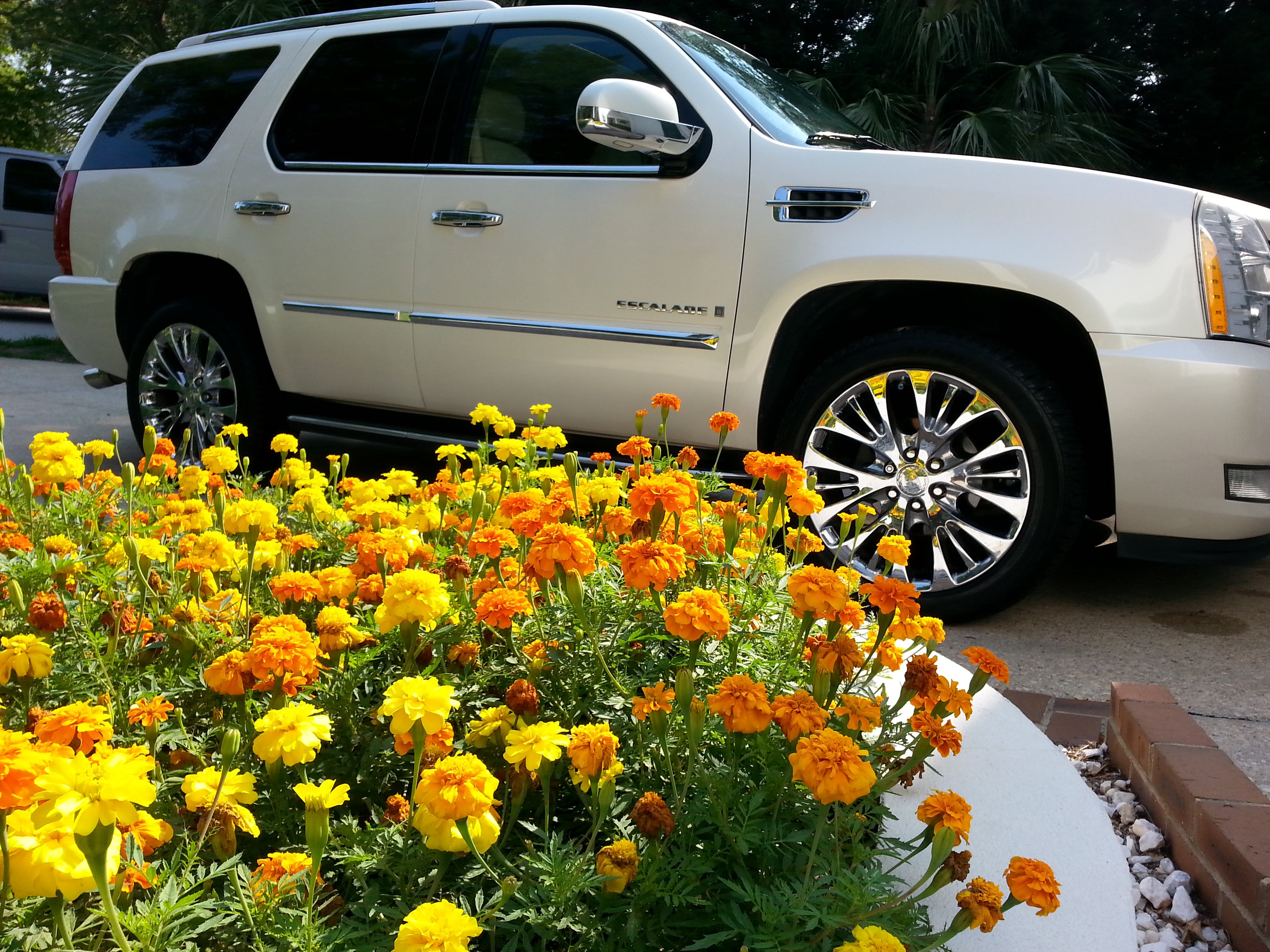 Pinehurst Mobile Detailing logo