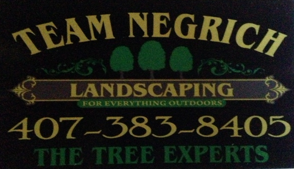 Avatar for Team Negrich