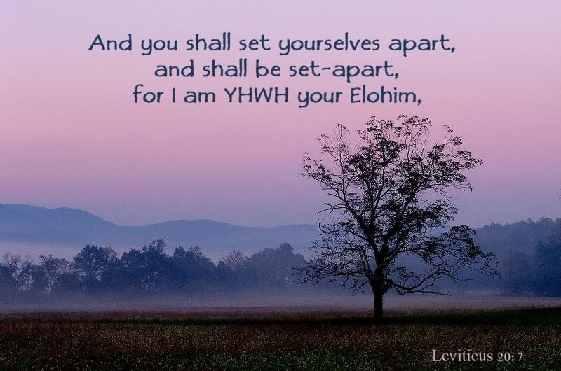 Avatar for Lost Sheep of Israel Handyman Ministry