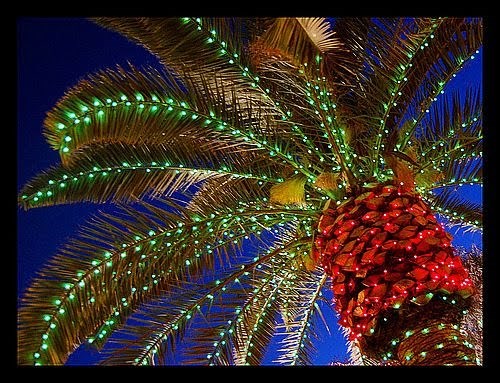 Holiday Spirit Lighting logo
