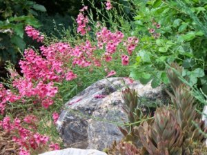 Avatar for McMahon Landscape