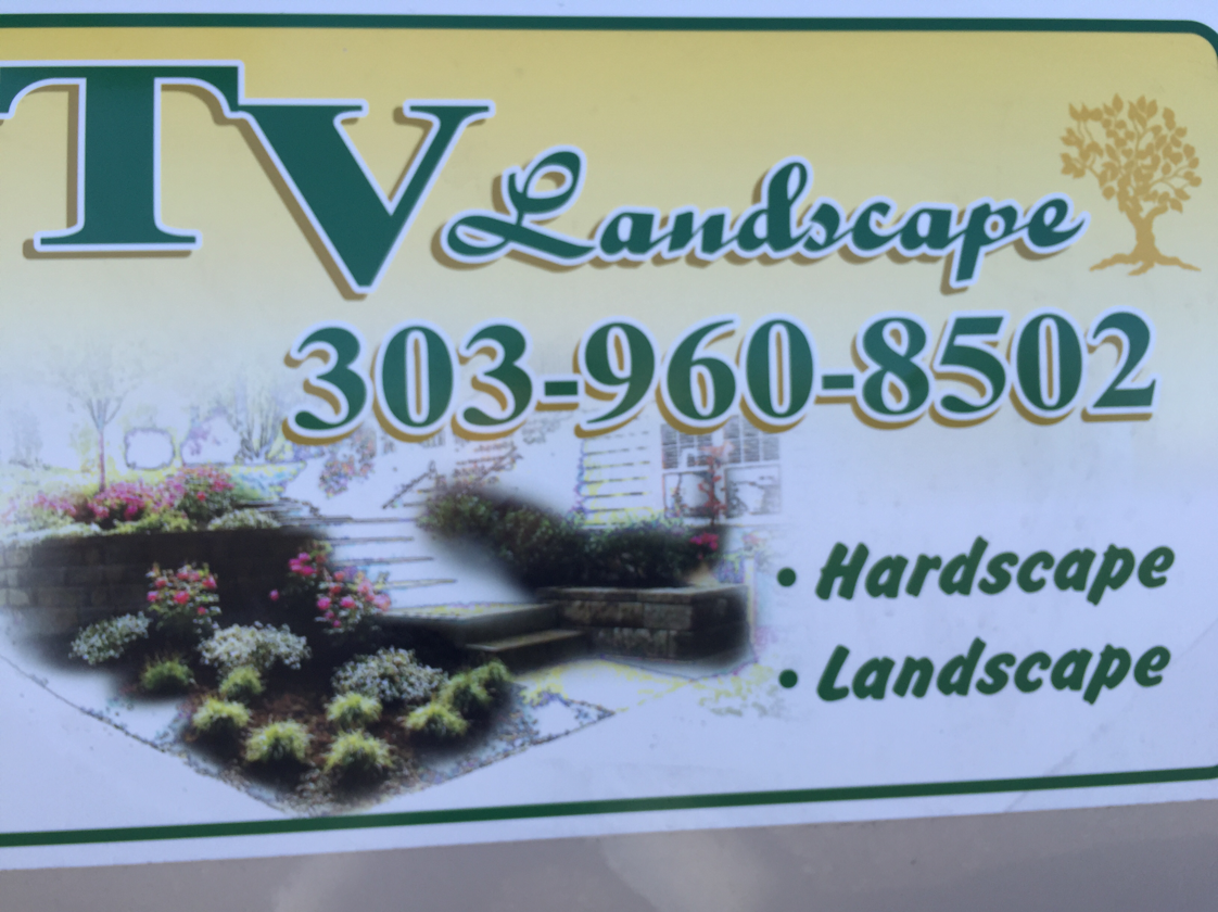Logo for TV landscape