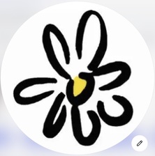 Logo for Daisy Carpet and Upholstery Cleaning, Inc.