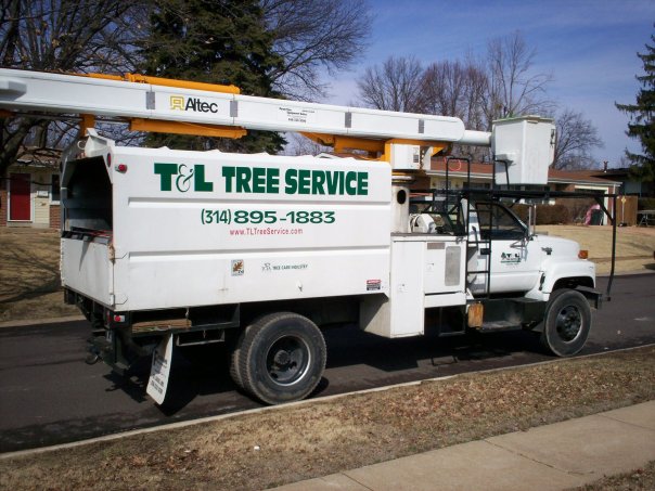 T & L Tree Service Inc logo