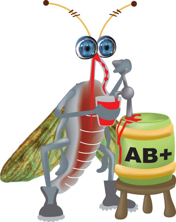 Logo for The Mosquito Guy