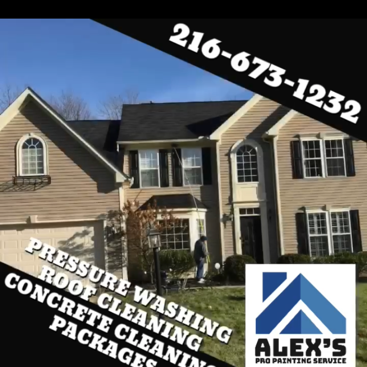 Alex's Pro Painting Service logo