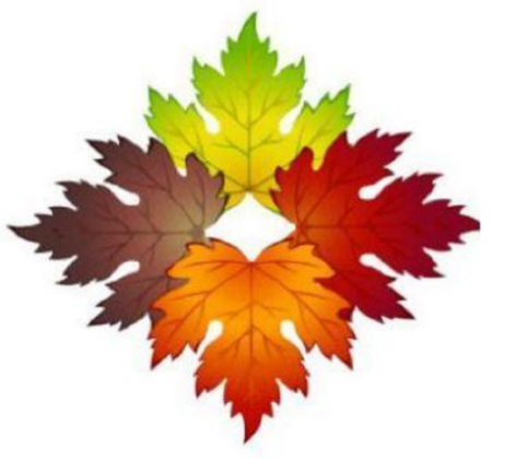 Logo for FOUR SEASONS LANDSCAPE MAINTENANCE LLC