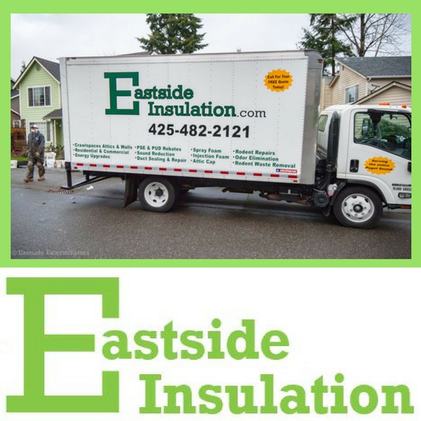 East Side Exterminators & Insulation logo