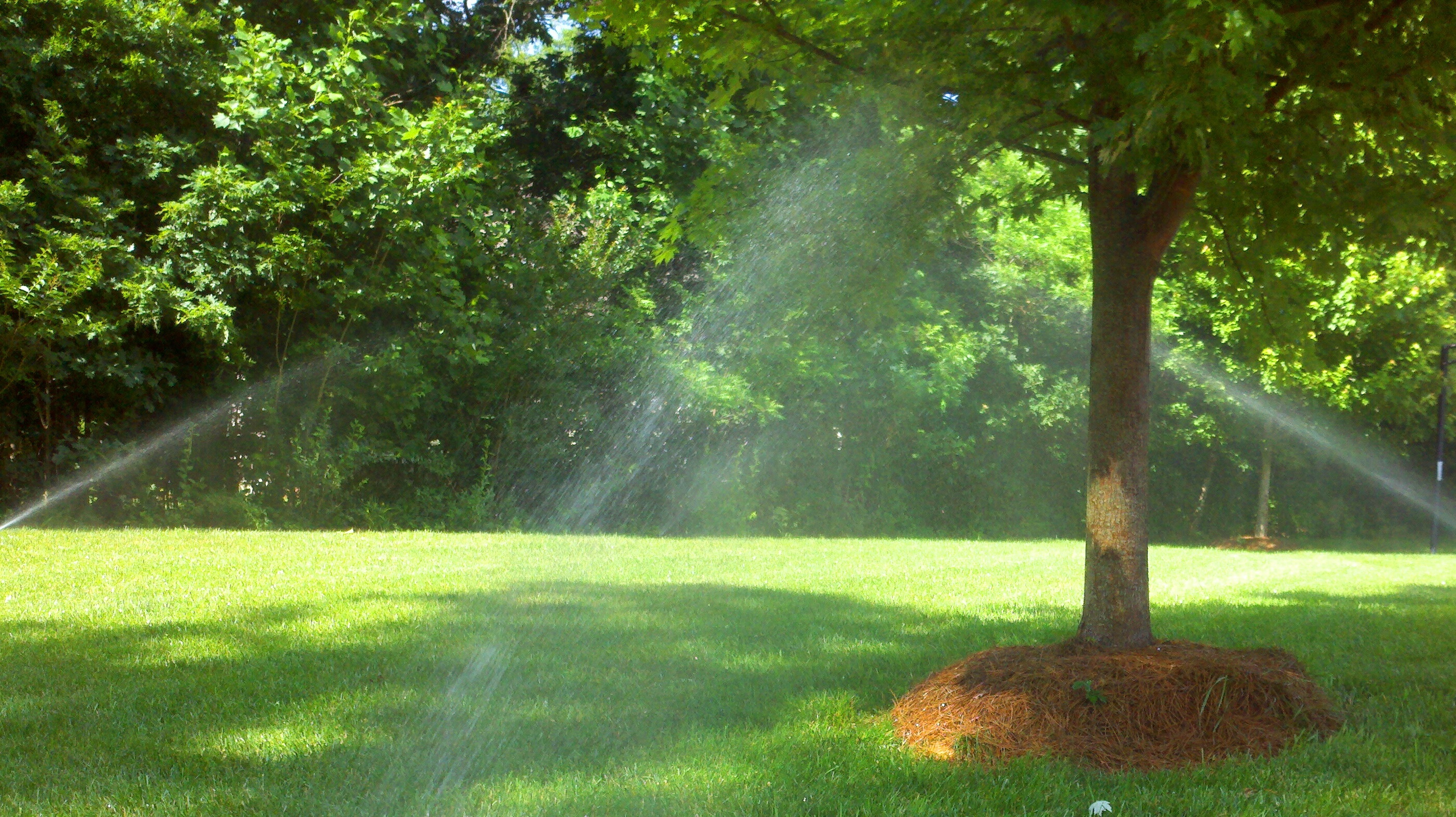 Logo for CAROLINA SPRINKLER SYSTEMS