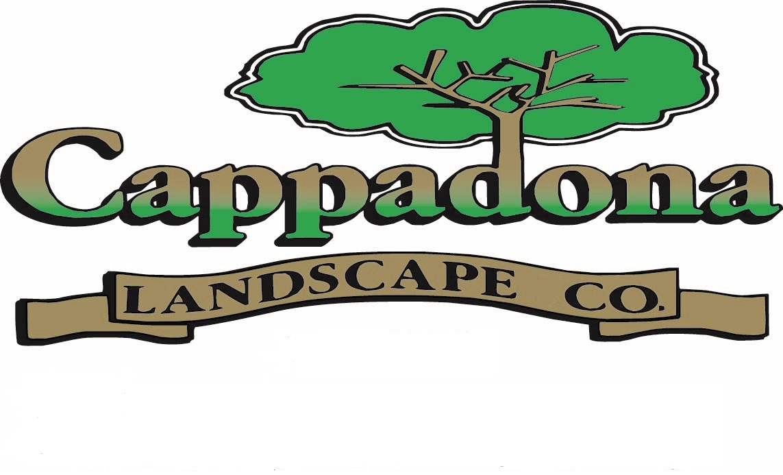 Logo for Cappadona Landscape Co.