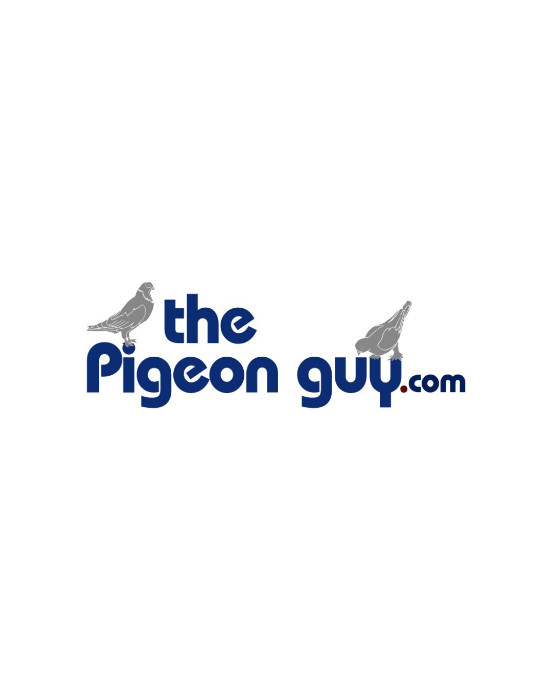 Avatar for The Pigeon Guy