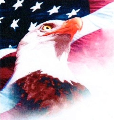 Logo for AMERICAN EAGLE DOOR and glass