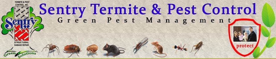 Sentry Termite & Pest Control INC logo