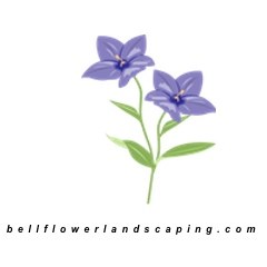 Bellflower Landscaping logo