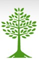 MANOR TREE CO INC logo